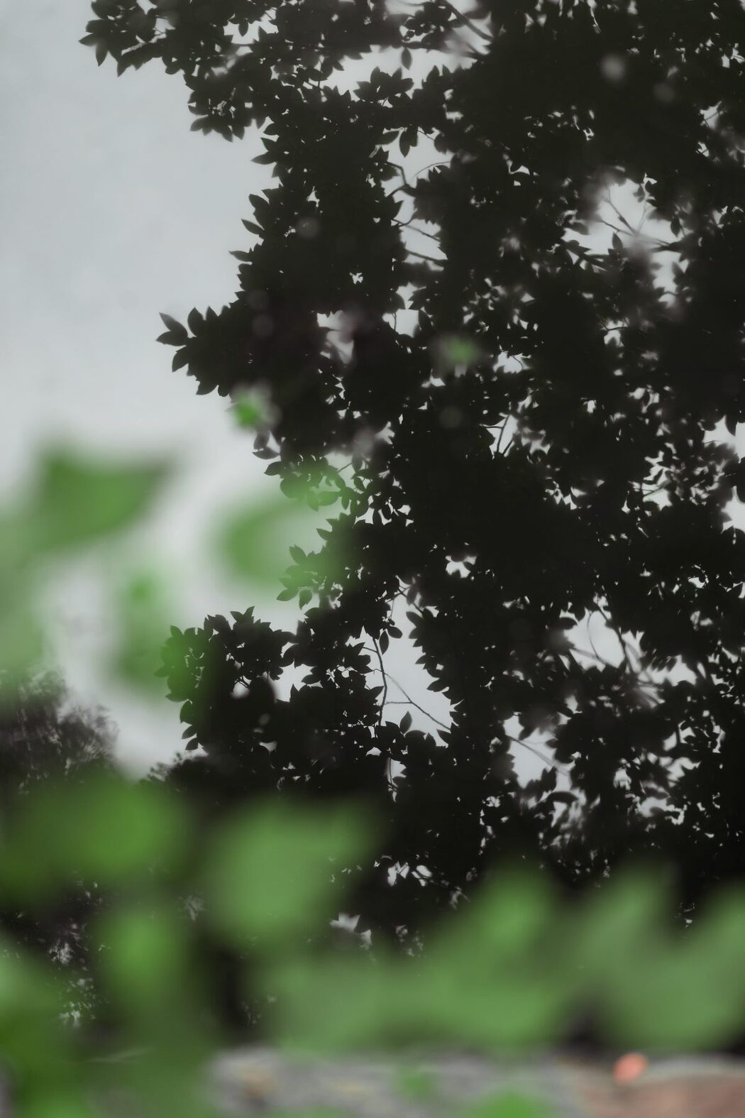 YiTuYu艺图语 Vol.854 Aki akiyama