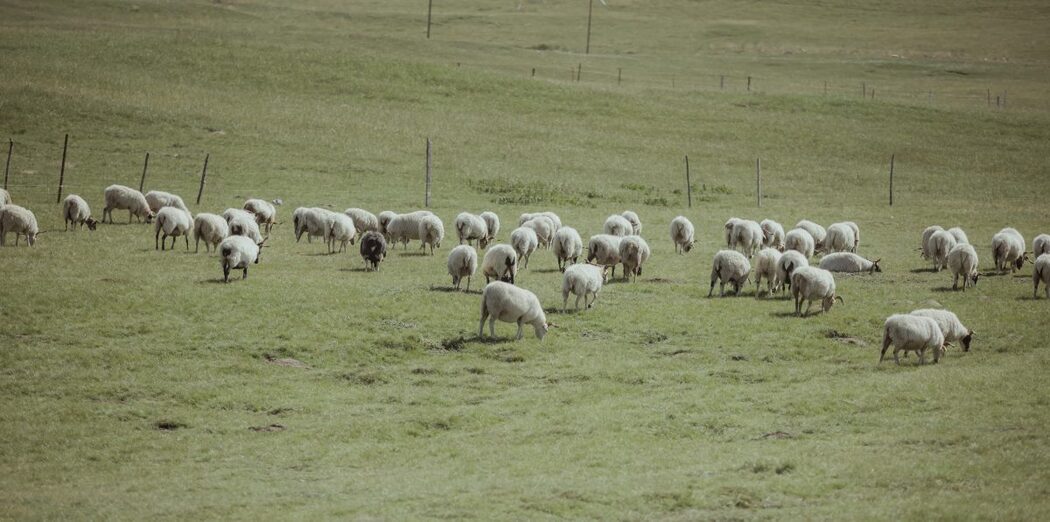 YiTuYu艺图语 Vol.973 Li Zhi Mi ko