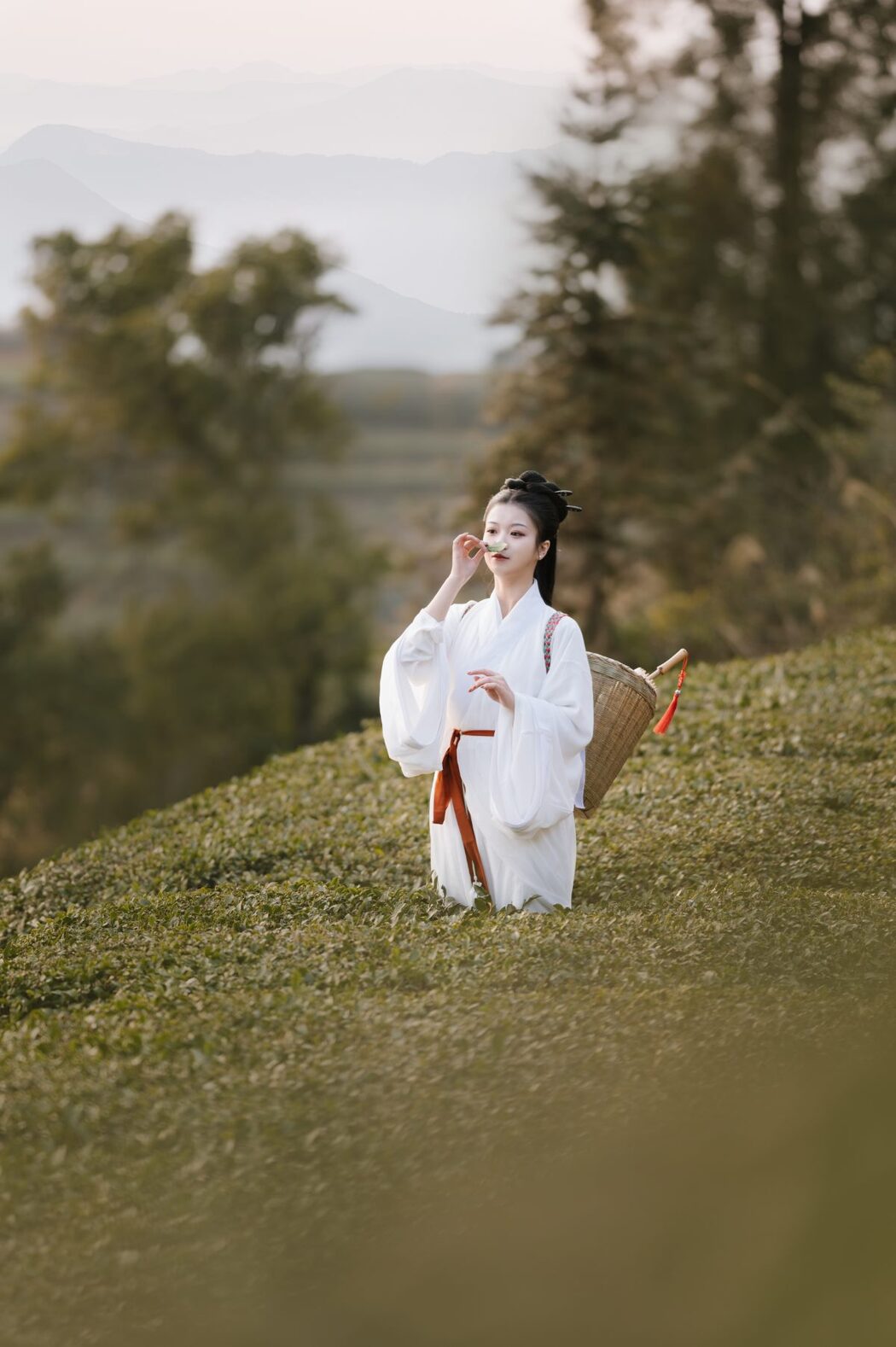 YiTuYu艺图语 Vol.913 Cang Ming