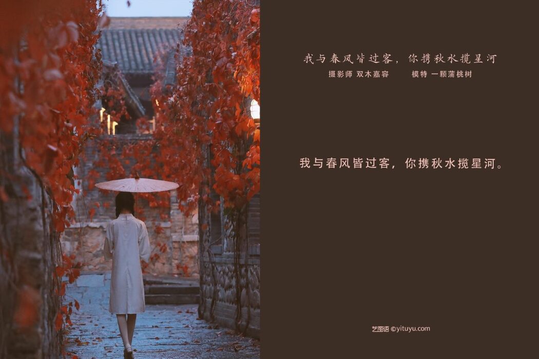 YiTuYu艺图语 Vol.963 Yi Ke Pu Tao Shu