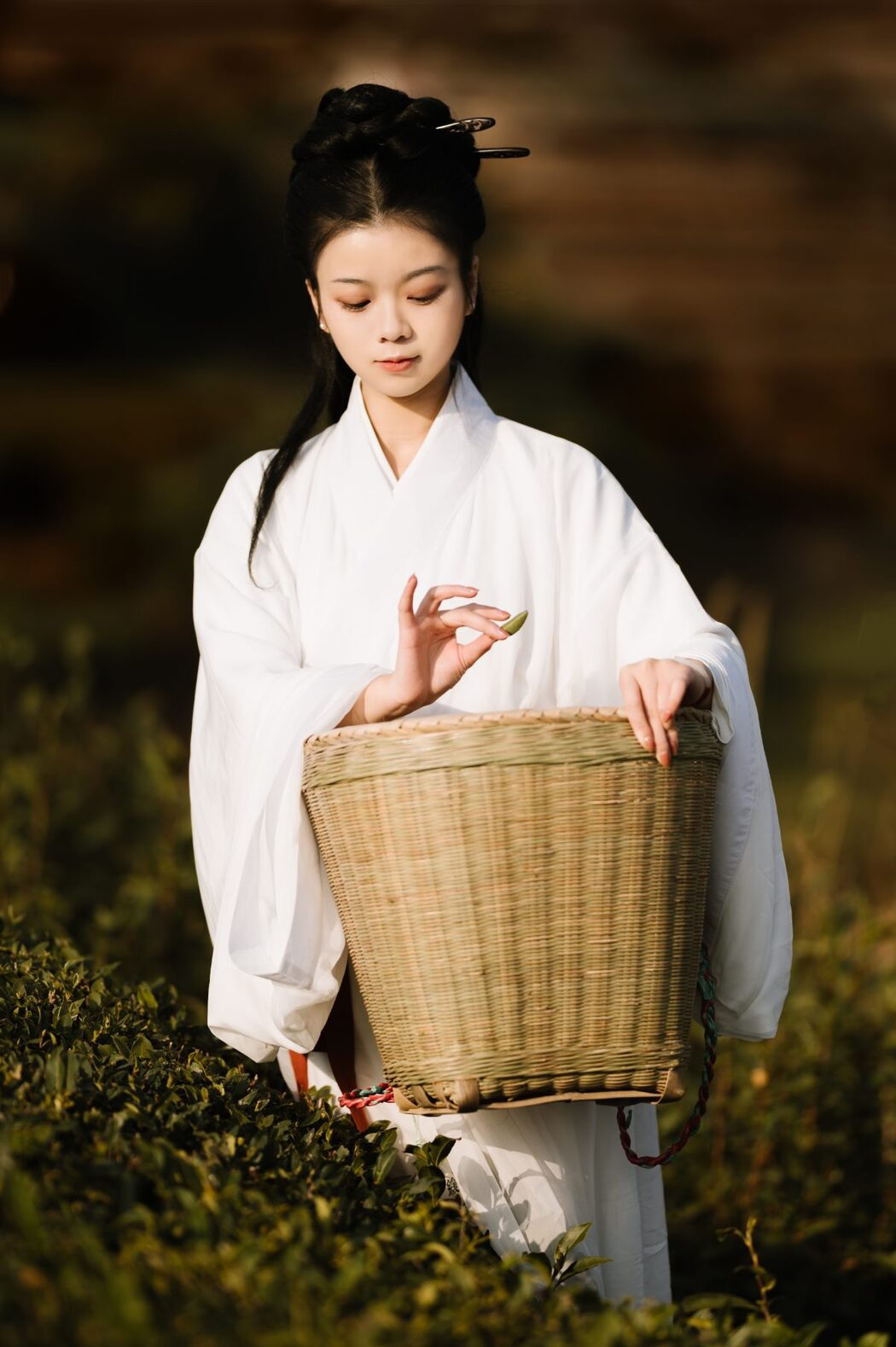 YiTuYu艺图语 Vol.913 Cang Ming