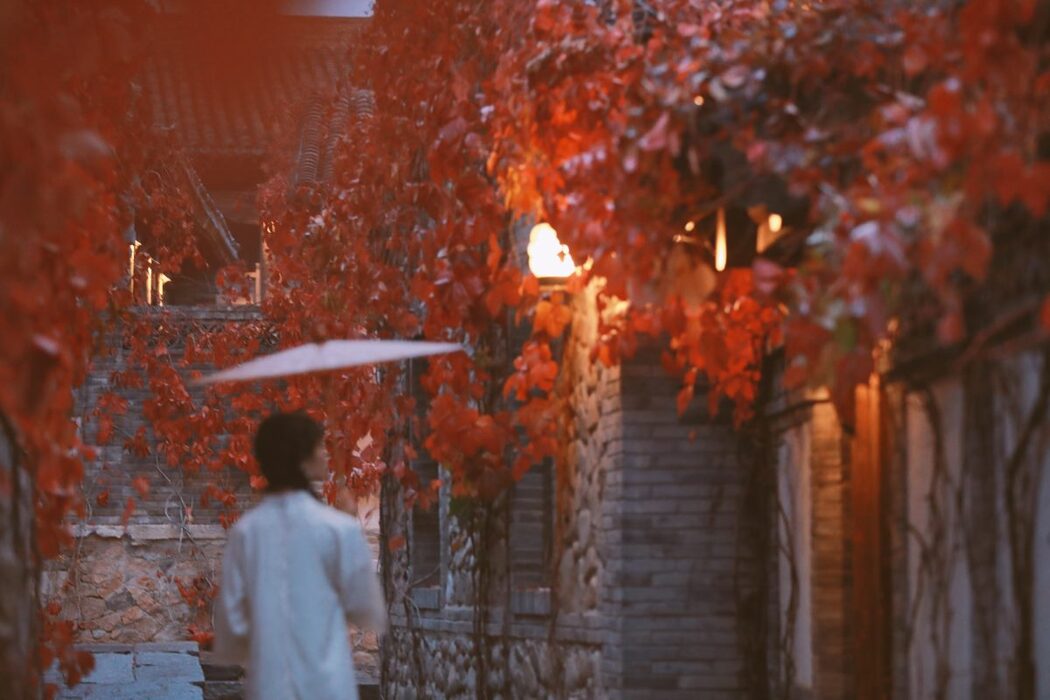YiTuYu艺图语 Vol.963 Yi Ke Pu Tao Shu