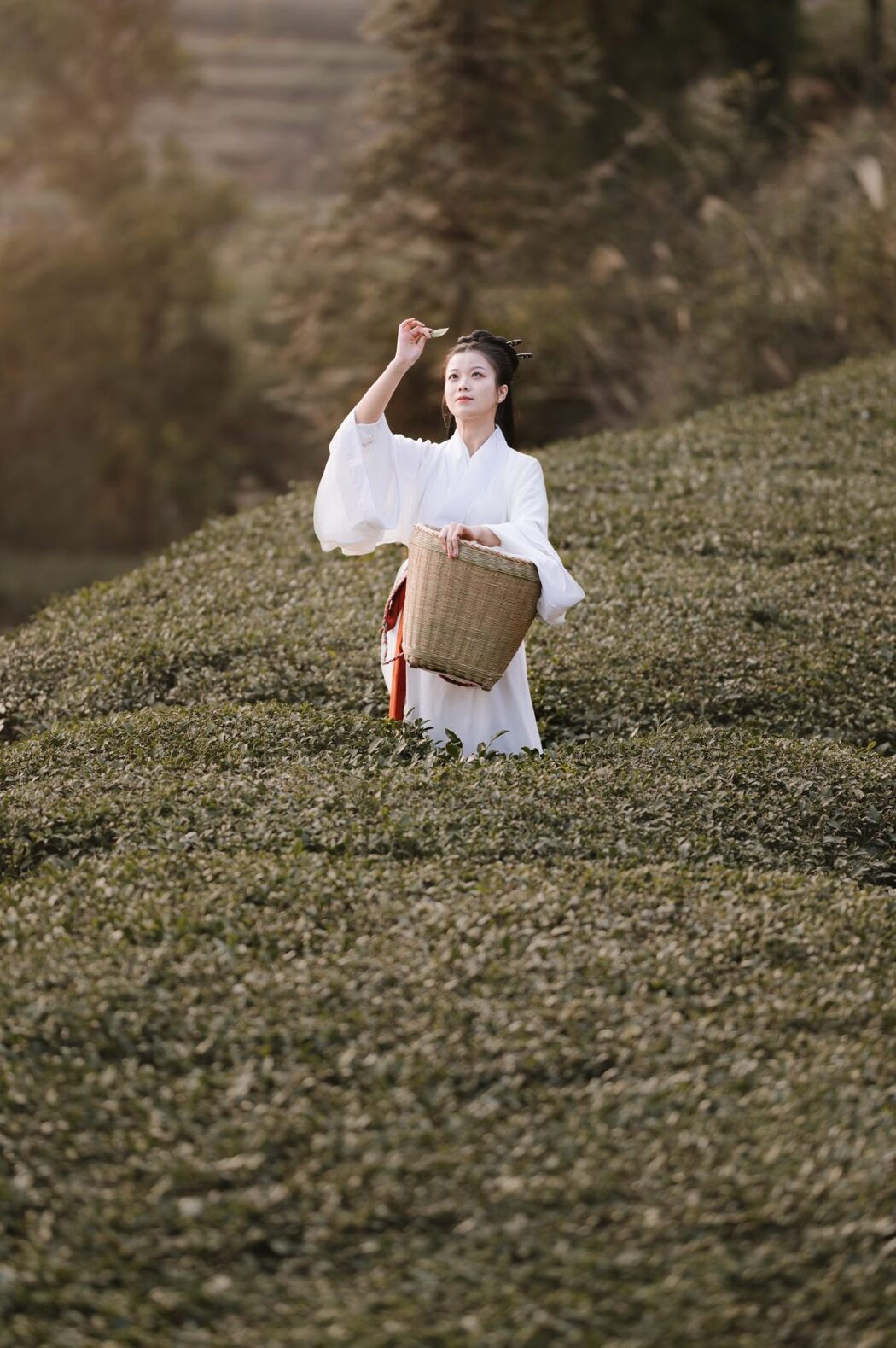 YiTuYu艺图语 Vol.913 Cang Ming