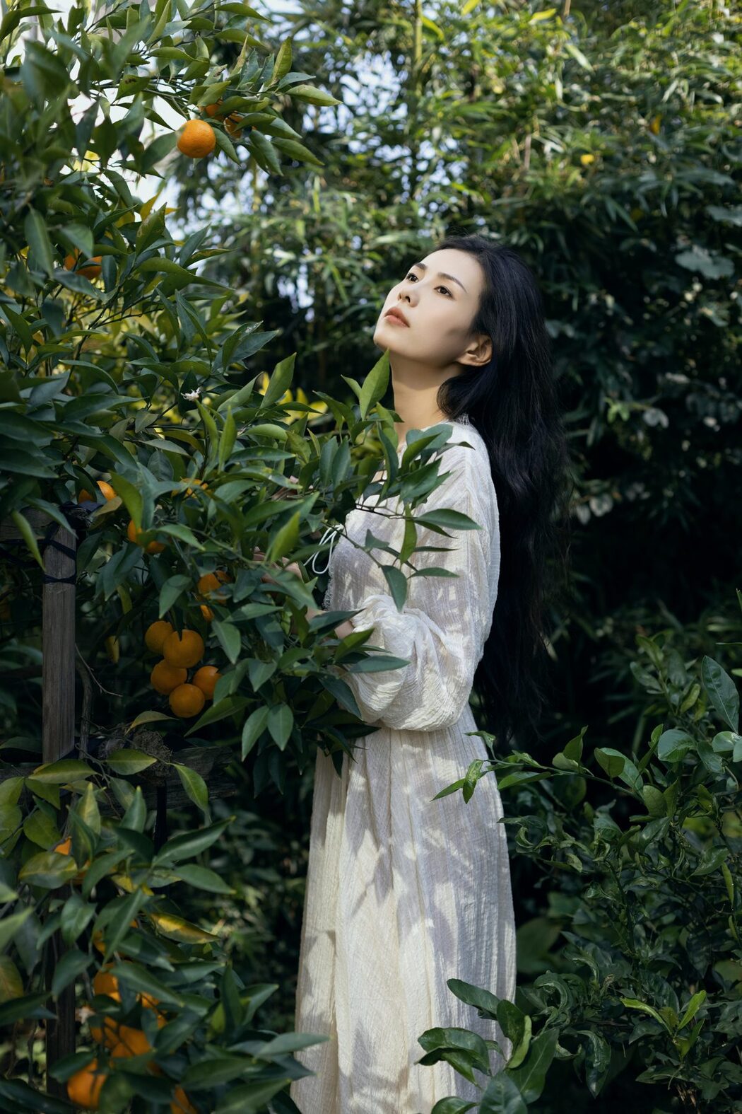 YiTuYu艺图语 Vol.6217 A Qin Da Da