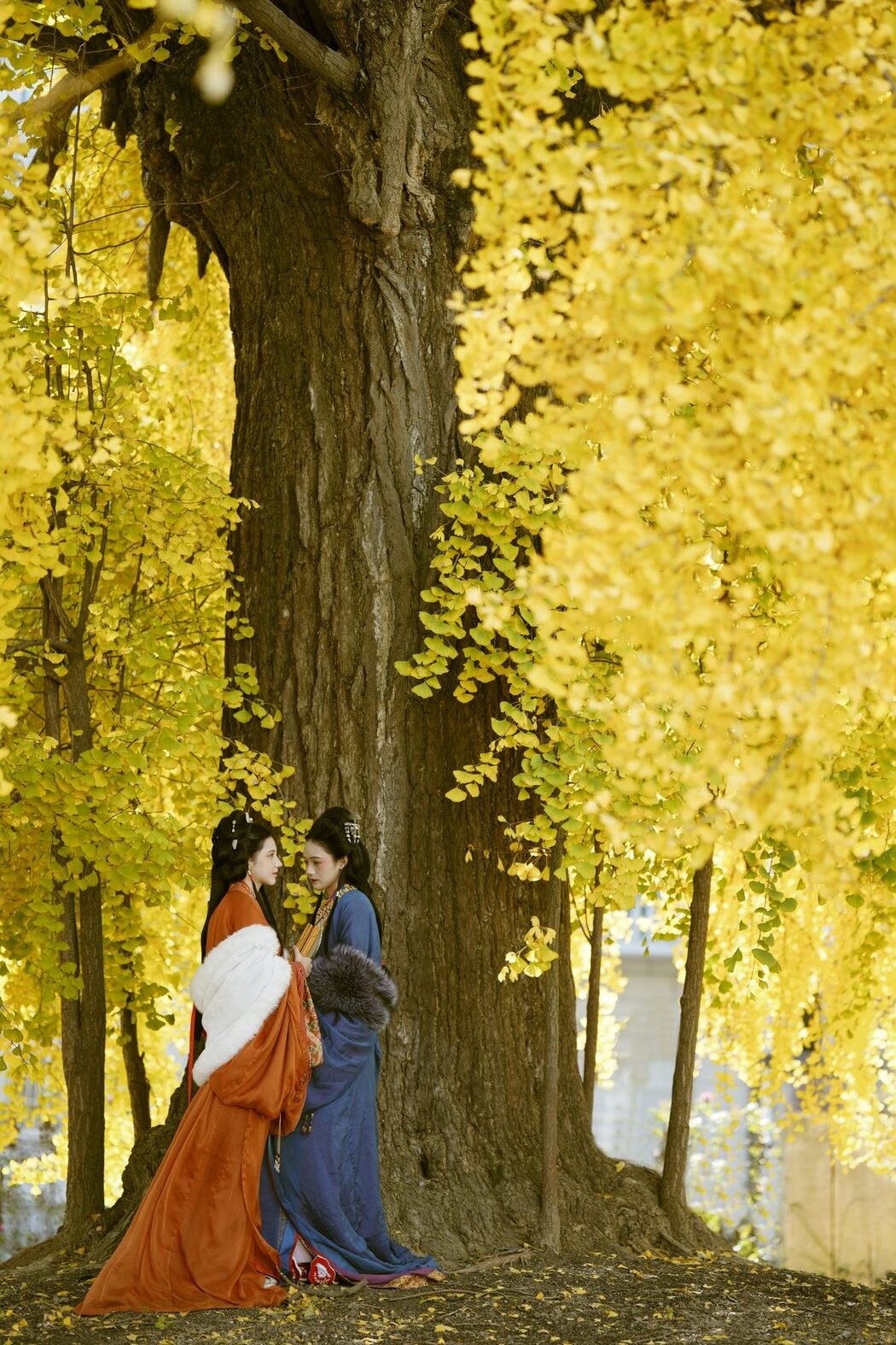 YiTuYu艺图语 Vol.6159 Pan Pan