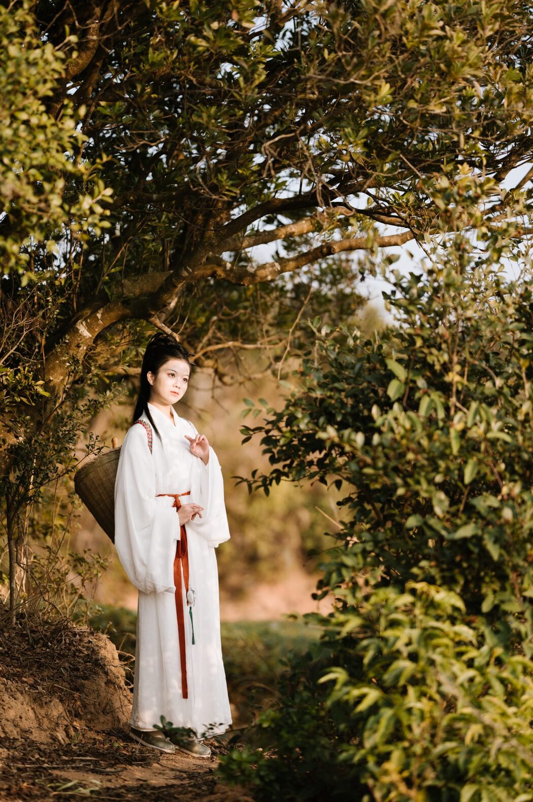 YiTuYu艺图语 Vol.913 Cang Ming