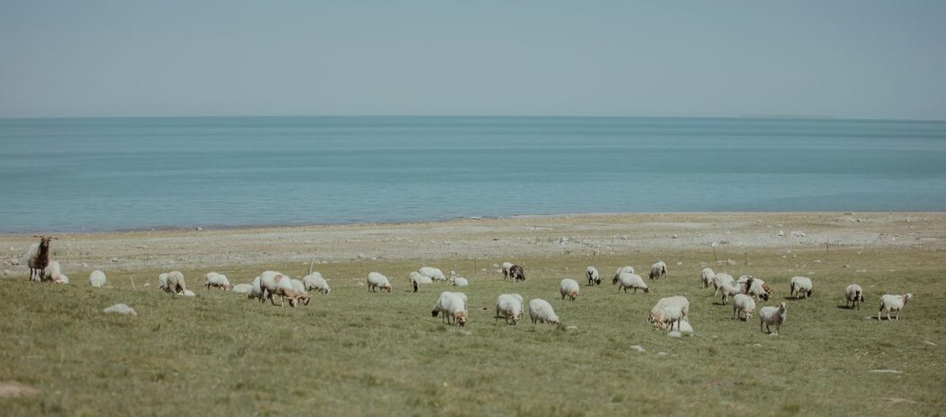 YiTuYu艺图语 Vol.973 Li Zhi Mi ko