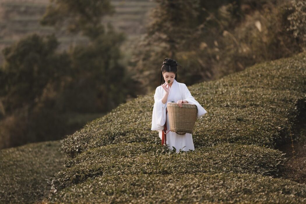 YiTuYu艺图语 Vol.913 Cang Ming