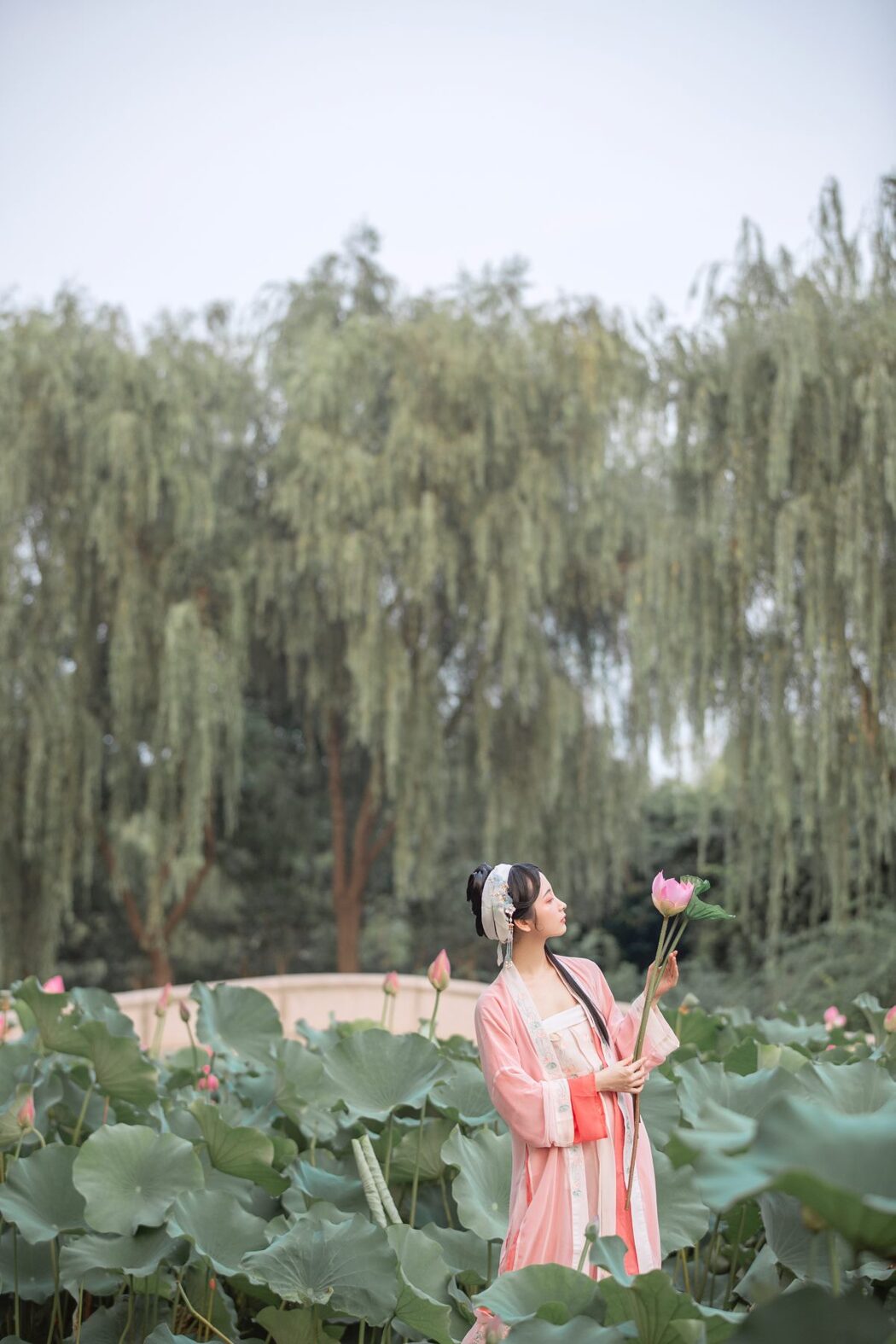 YiTuYu艺图语 Vol.950 Wu Yue De San Hua Mao