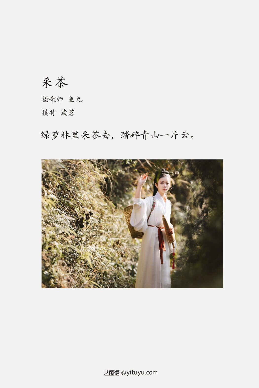 YiTuYu艺图语 Vol.913 Cang Ming