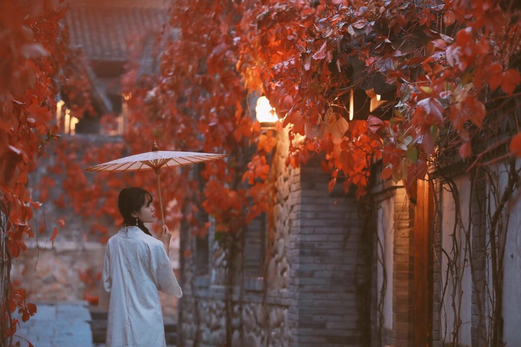 YiTuYu艺图语 Vol.963 Yi Ke Pu Tao Shu