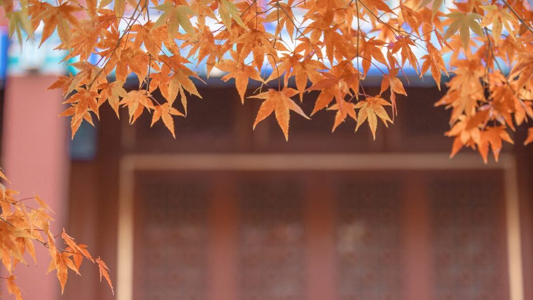 YiTuYu艺图语 Vol.992 Zhu Da Bao Chiki