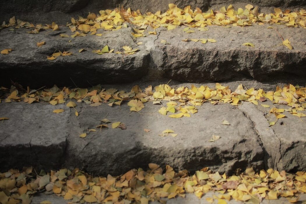 YiTuYu艺图语 Vol.991 Qiao Dou Ma Dai