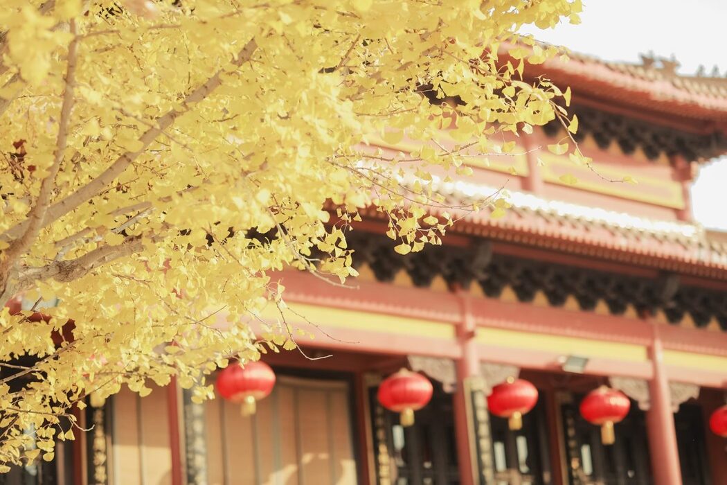 YiTuYu艺图语 Vol.997 Zhou Mi Fan