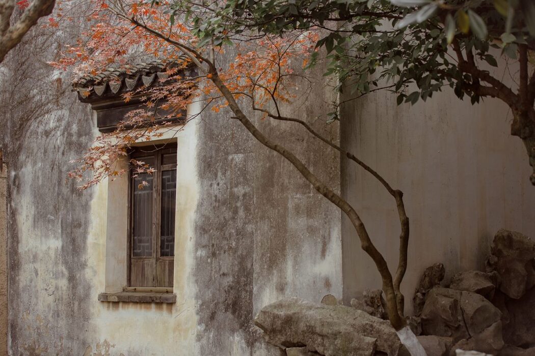 YiTuYu艺图语 Vol.980 You Hu Ya De Fu Hei Jiang