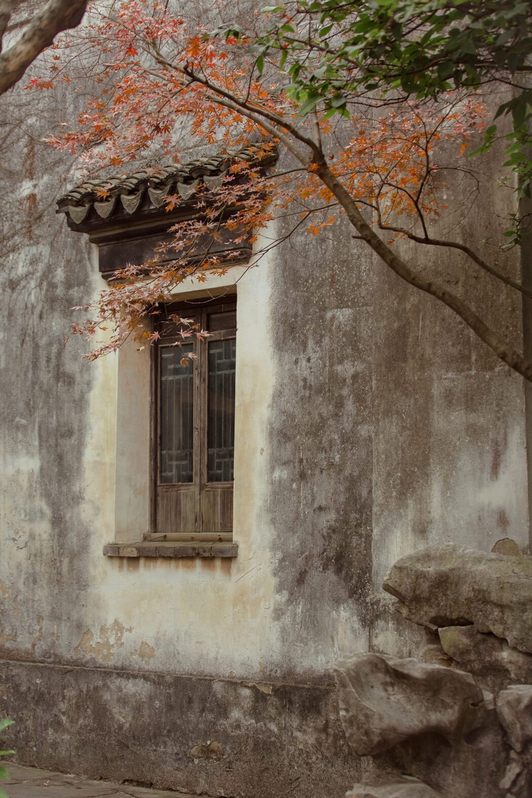 YiTuYu艺图语 Vol.980 You Hu Ya De Fu Hei Jiang