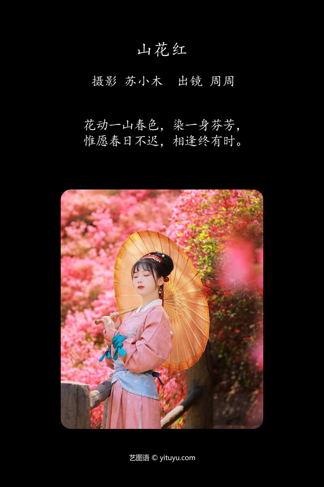 YiTuYu艺图语 Vol.6258 Zhou Zhou AY