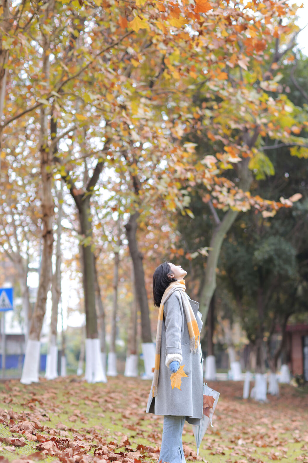 YiTuYu艺图语 Vol.6383 Liu Liu Liu 17