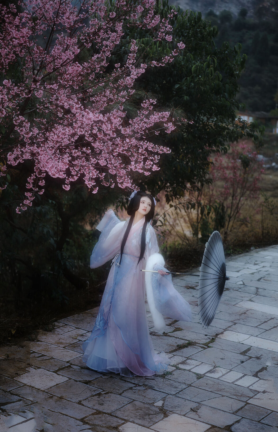 YiTuYu艺图语 Vol.6293 Wu Sui