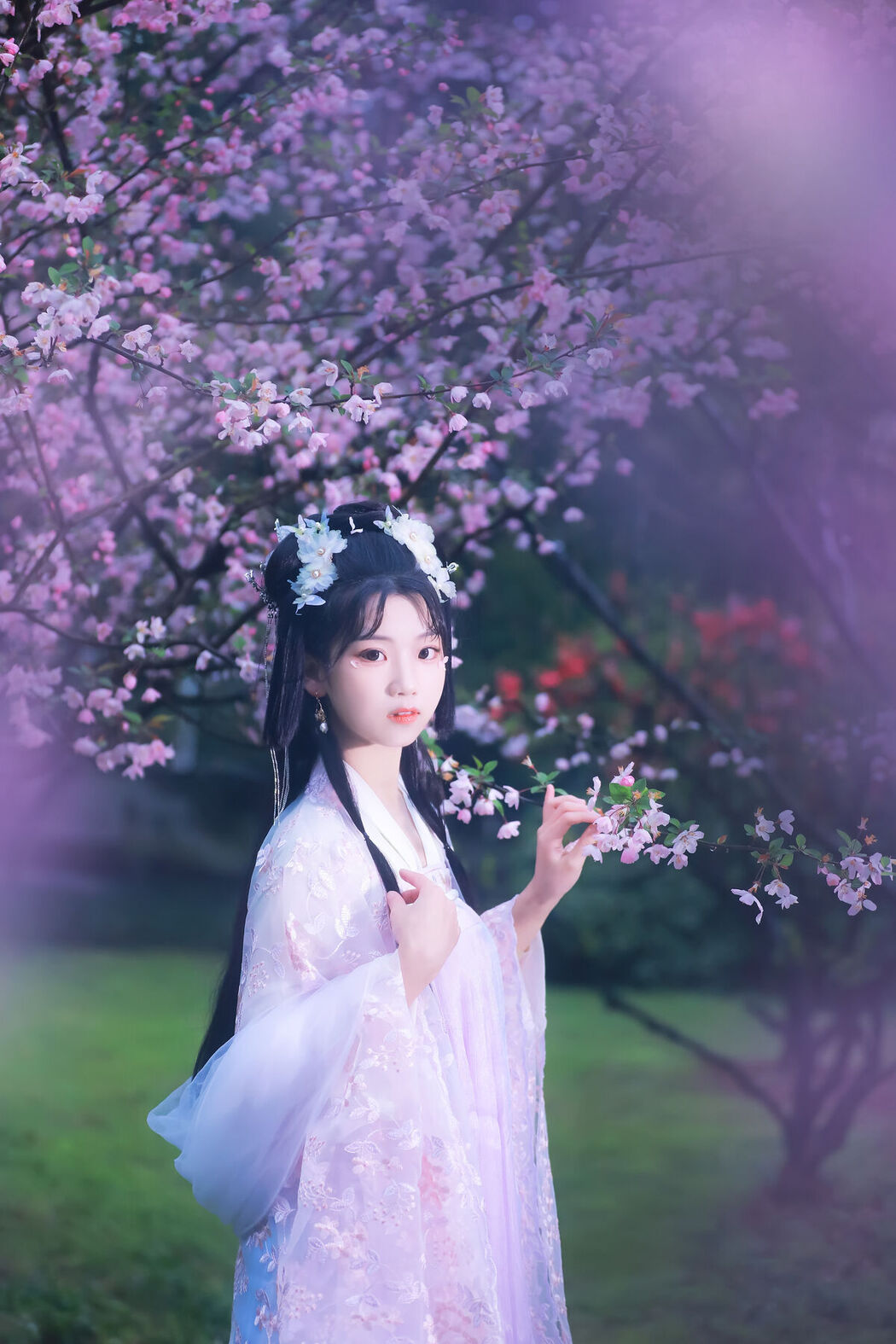 YiTuYu艺图语 Vol.6366 Zhou Zhou AY