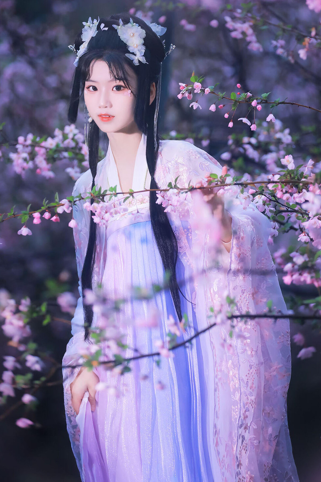YiTuYu艺图语 Vol.6366 Zhou Zhou AY Cover Photo
