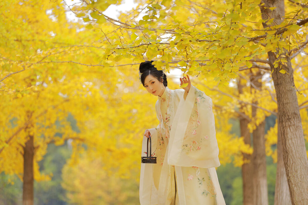 YiTuYu艺图语 Vol.6312 Li Cai