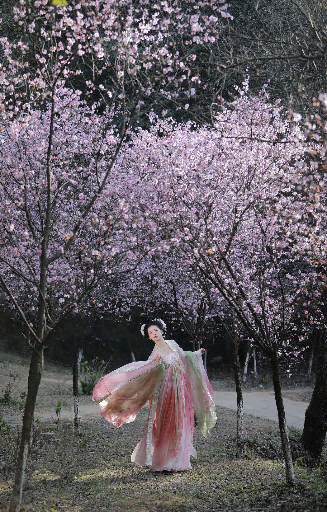 YiTuYu艺图语 Vol.6612 Wei Mo