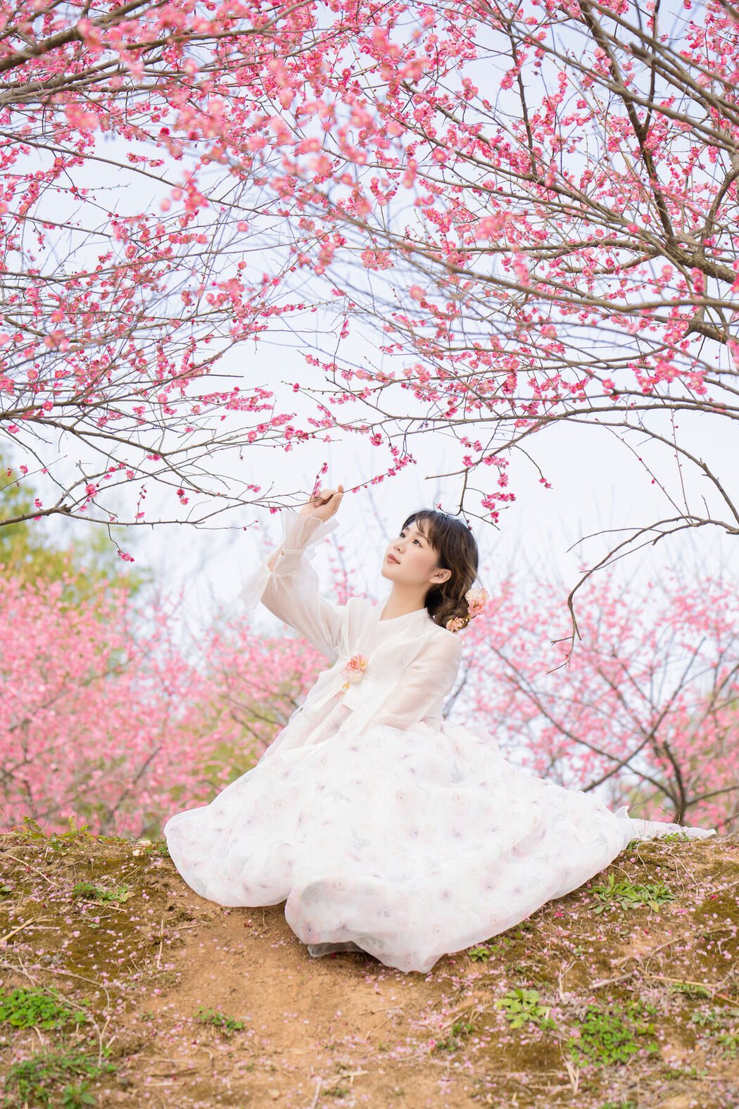 YiTuYu艺图语 Vol.6544 Pao Fu Xiao Fang