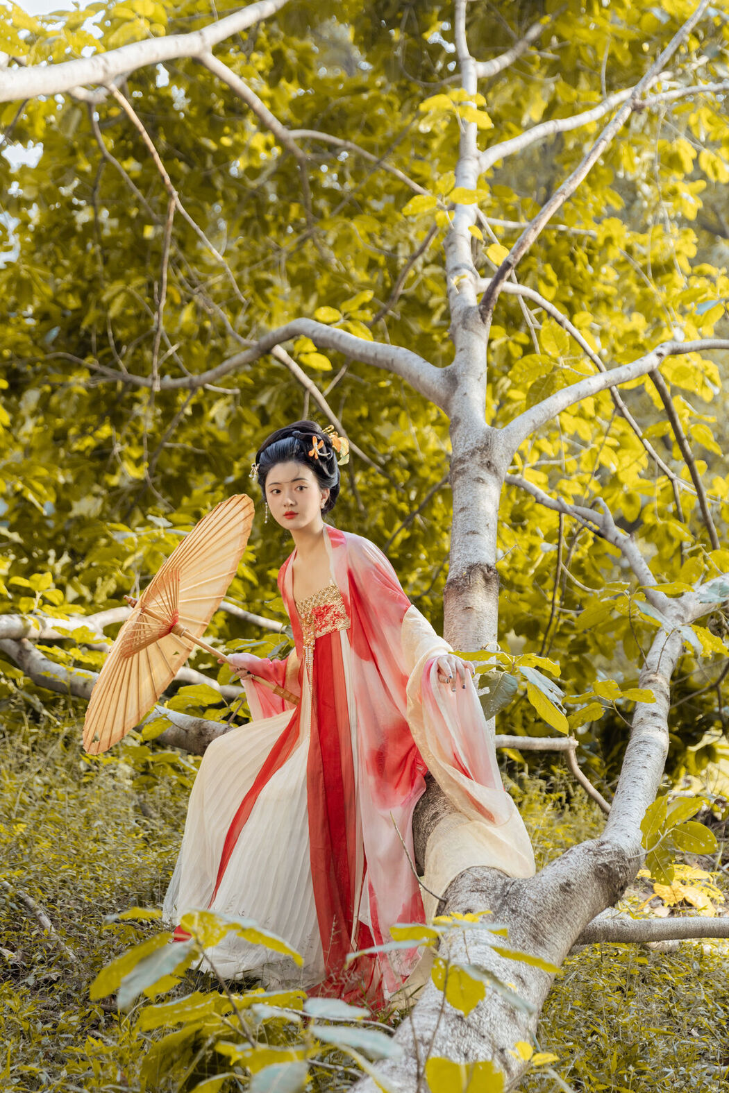 YiTuYu艺图语 Vol.6451 Xia Han Han