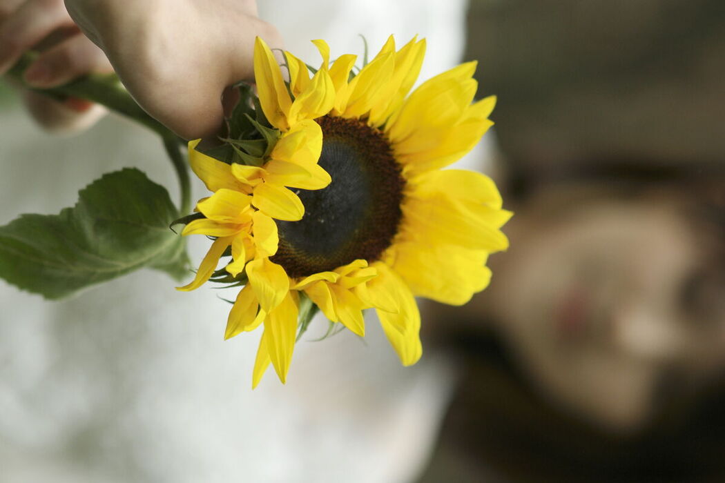 YiTuYu艺图语 Vol.6583 Xiao Xu