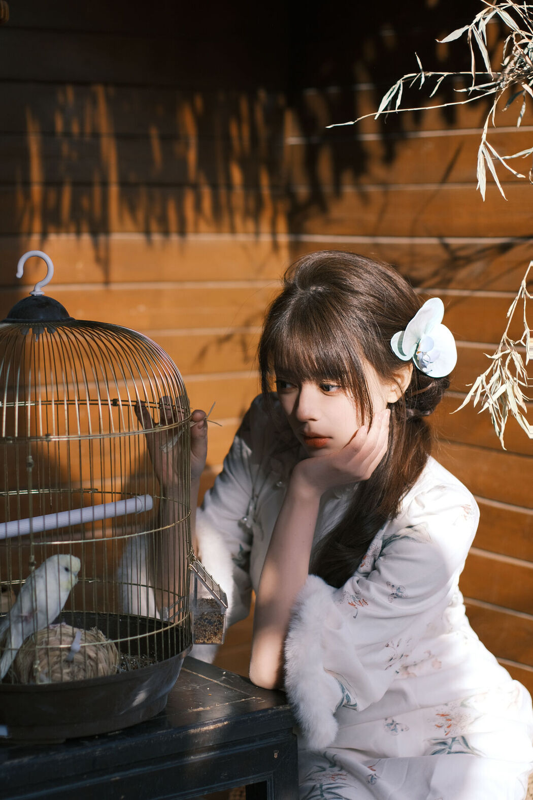 YiTuYu艺图语 Vol.6566 Jinnnhao