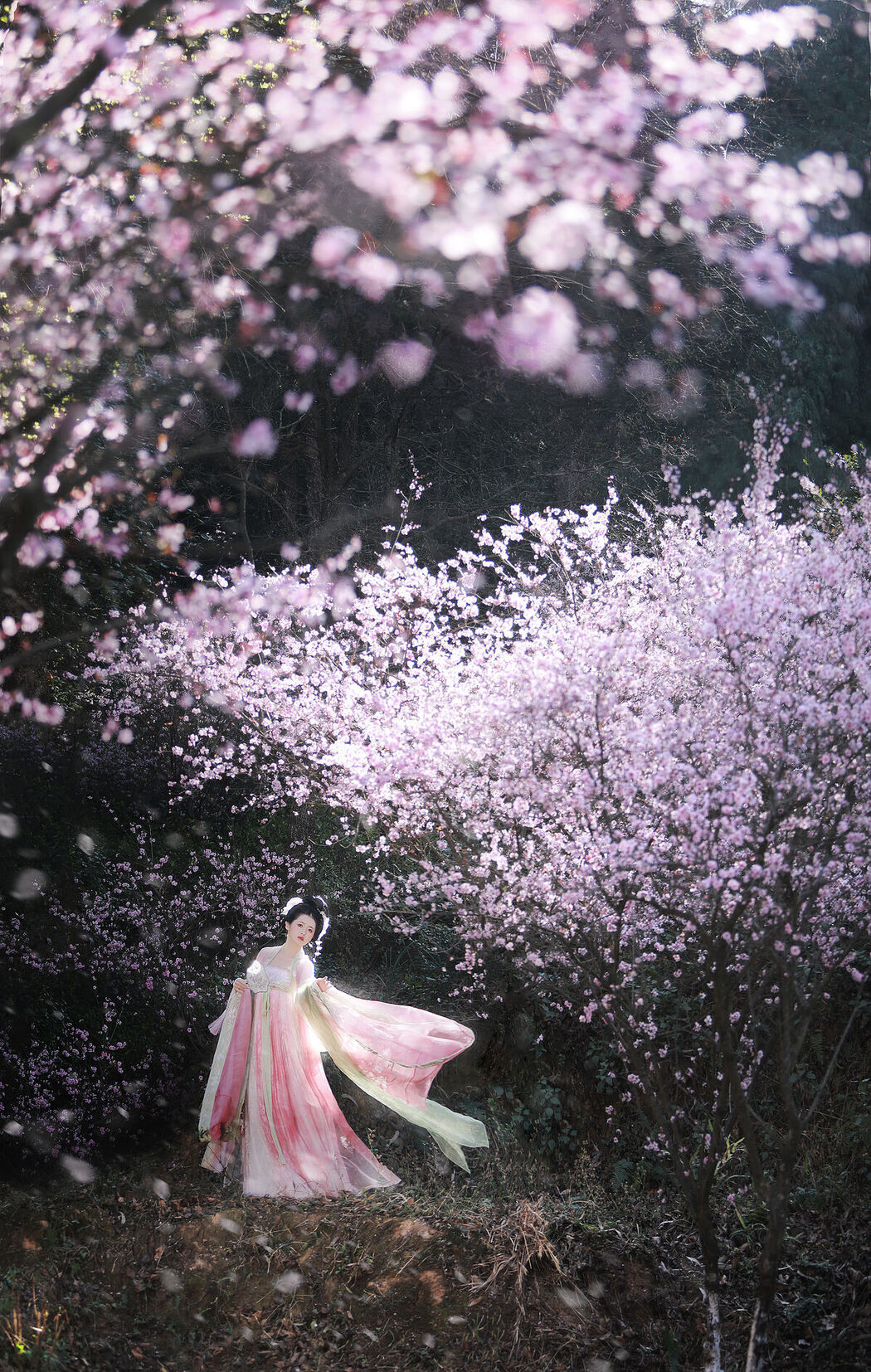 YiTuYu艺图语 Vol.6612 Wei Mo