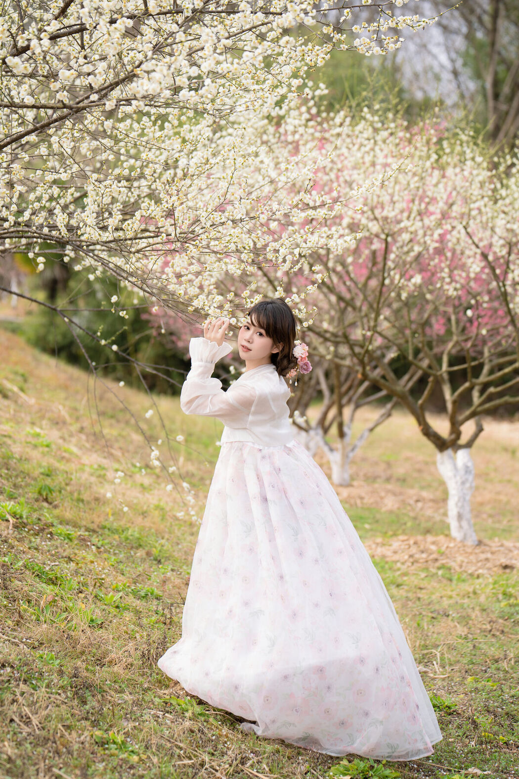 YiTuYu艺图语 Vol.6544 Pao Fu Xiao Fang