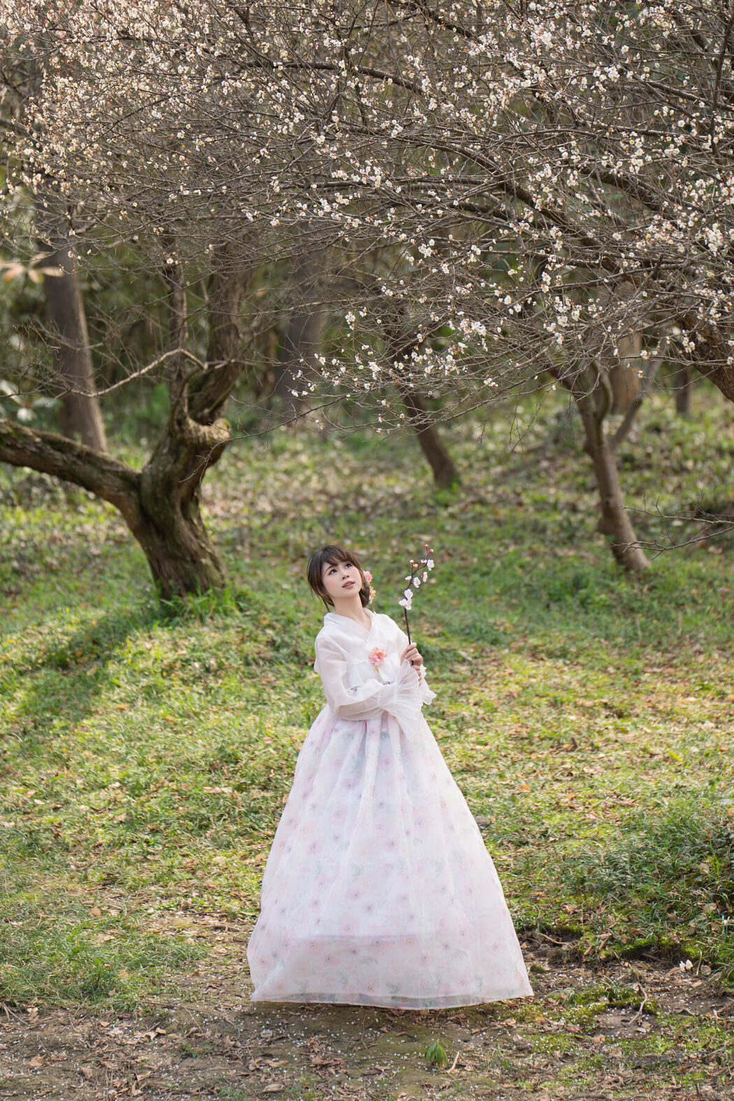 YiTuYu艺图语 Vol.6544 Pao Fu Xiao Fang