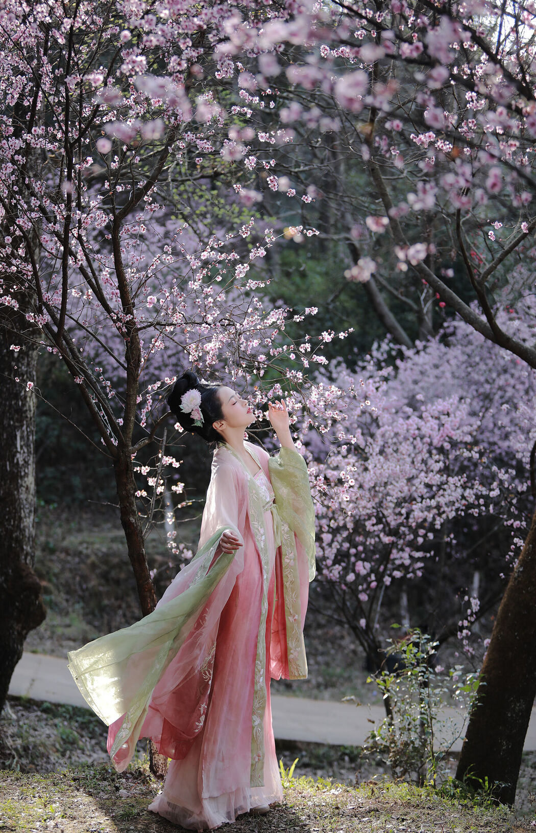 YiTuYu艺图语 Vol.6612 Wei Mo