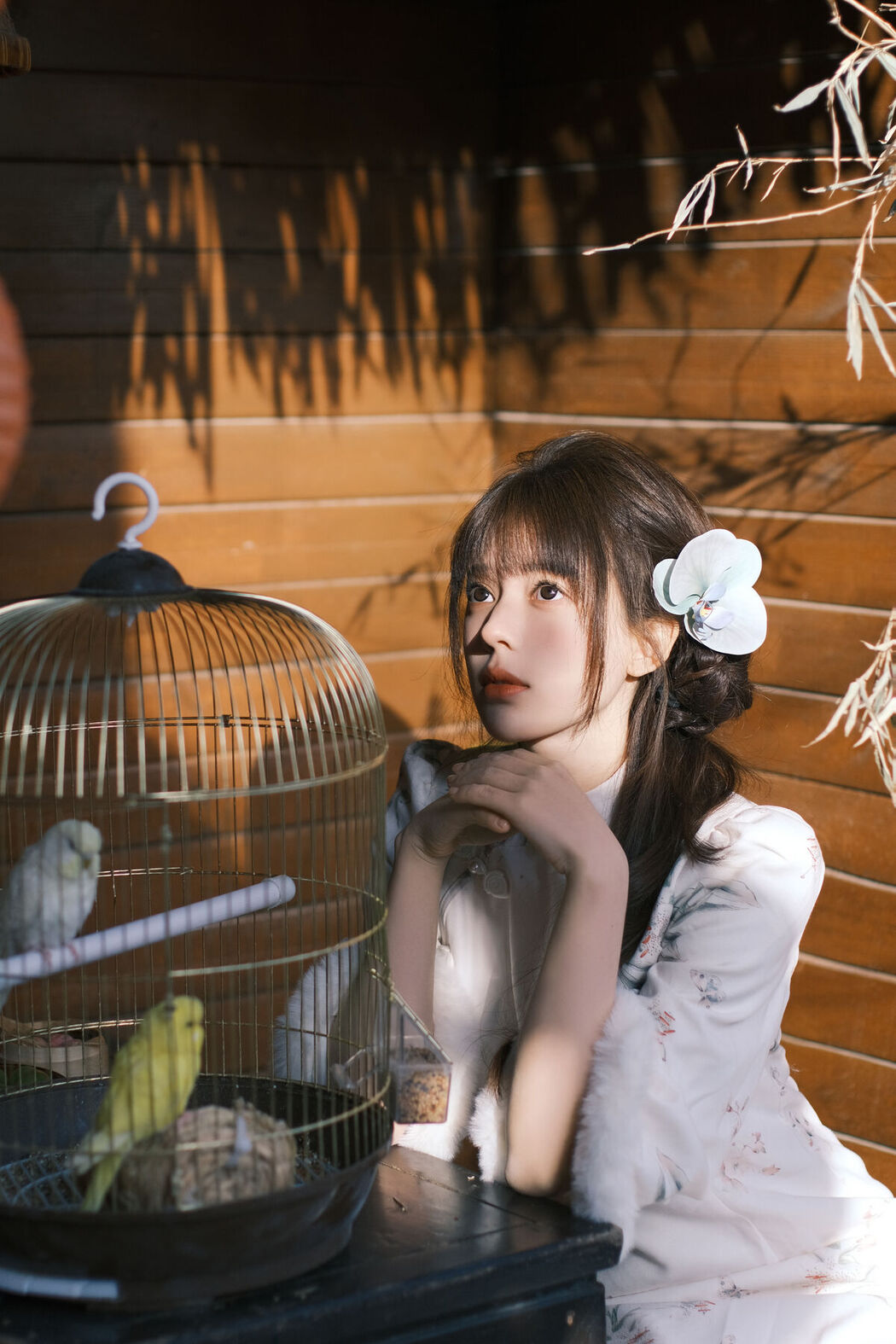 YiTuYu艺图语 Vol.6566 Jinnnhao