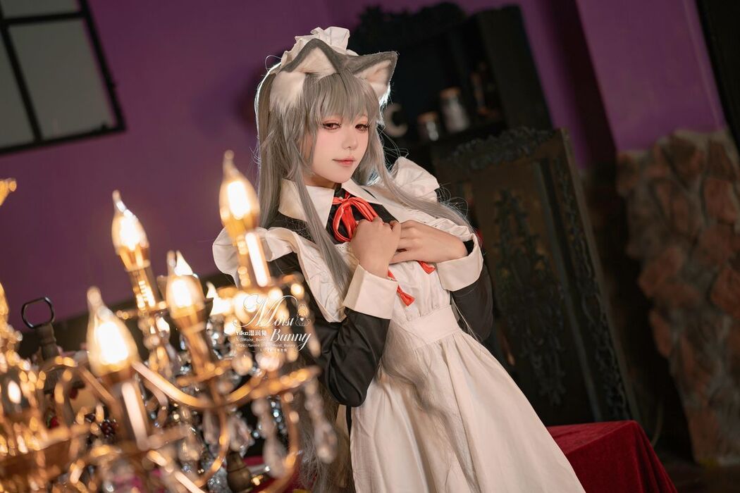 Coser@黏黏团子兔 – 2月月票特典 菲奇子女仆 (44P – 1V)