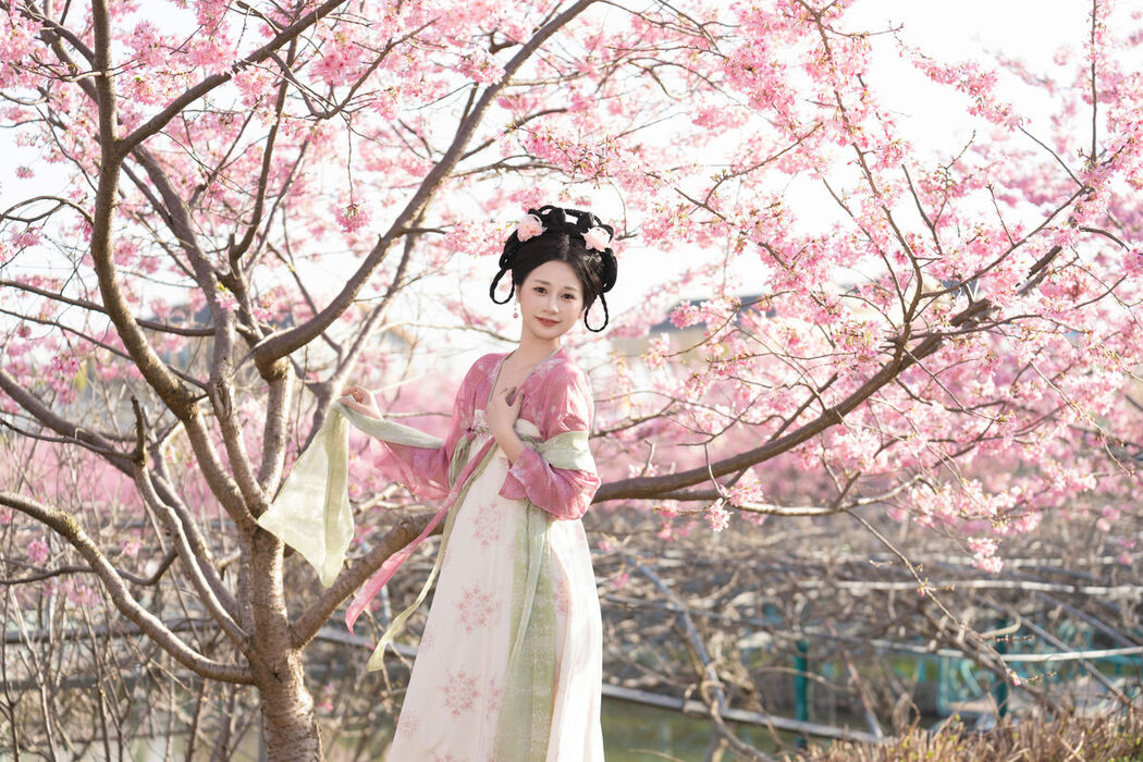 YiTuYu艺图语 Vol.6680 Cheng Zi Shu