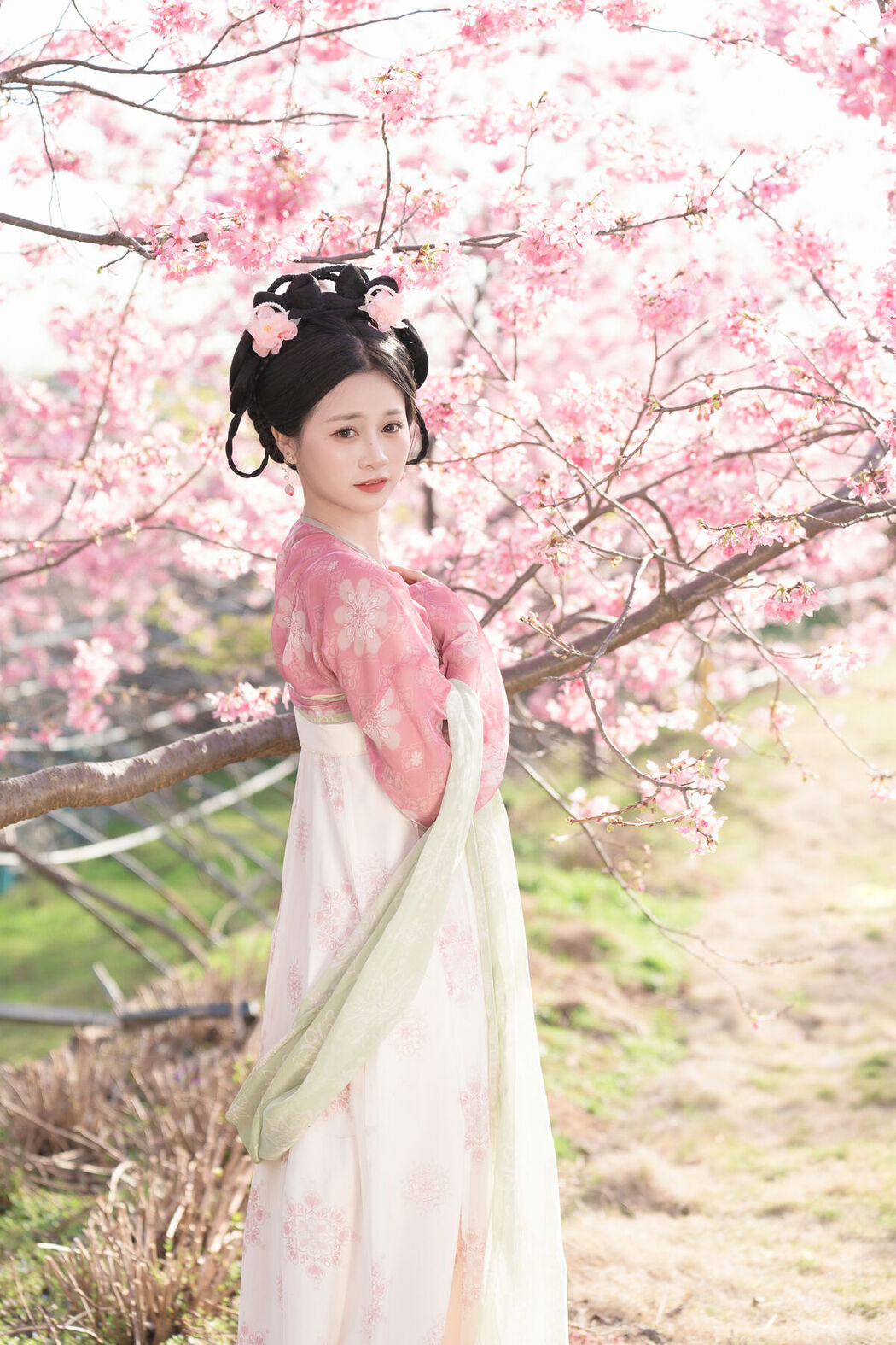 YiTuYu艺图语 Vol.6680 Cheng Zi Shu