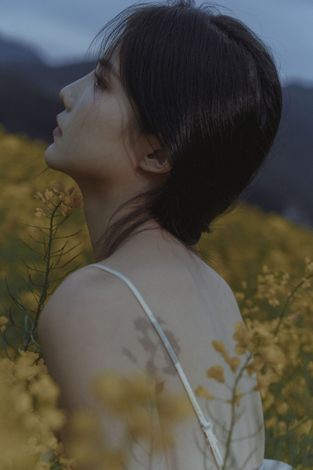 YiTuYu艺图语 Vol.6683 Yan Shi Yi
