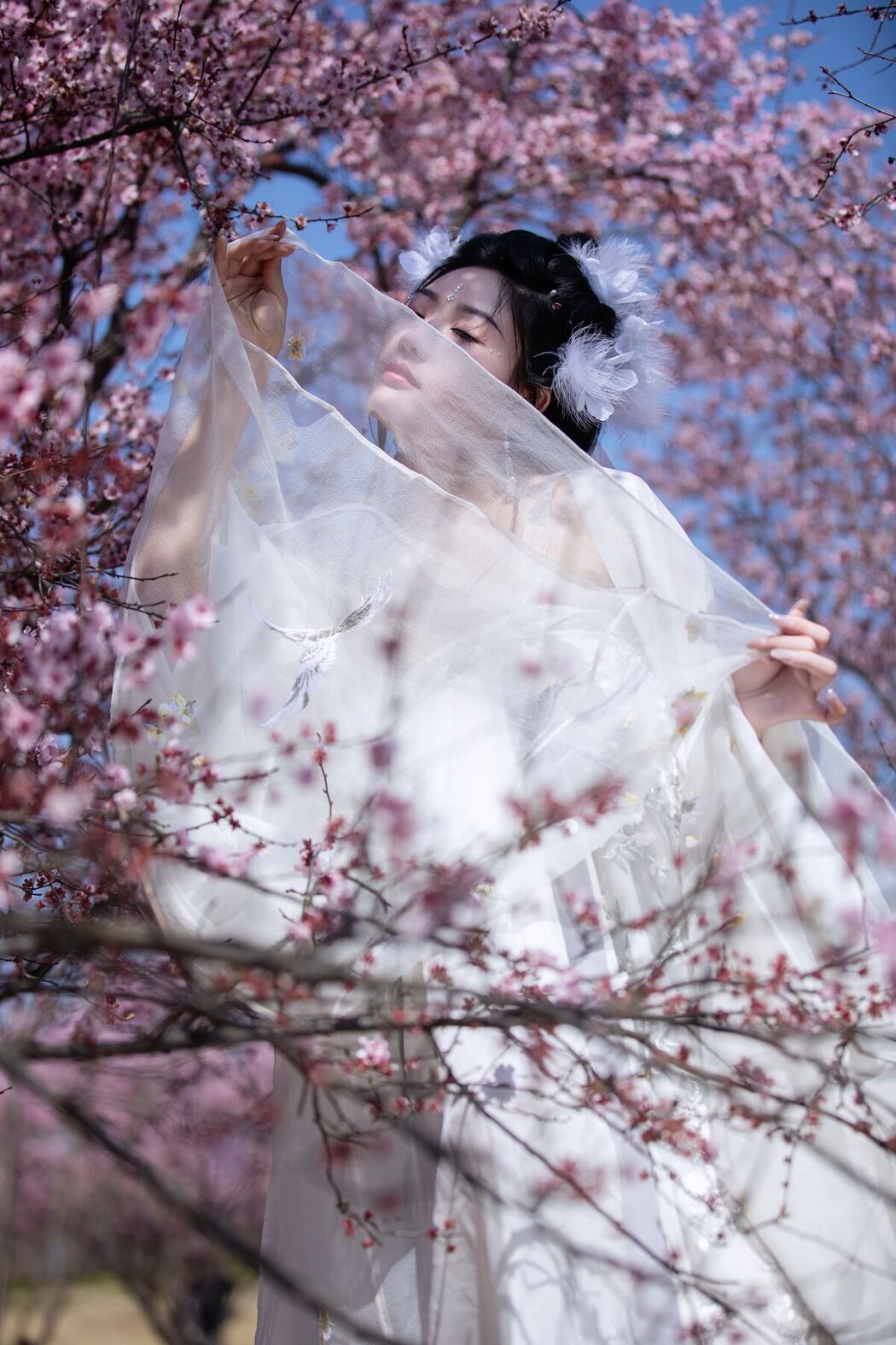 YiTuYu艺图语 Vol.6670 Tong Mu Mu