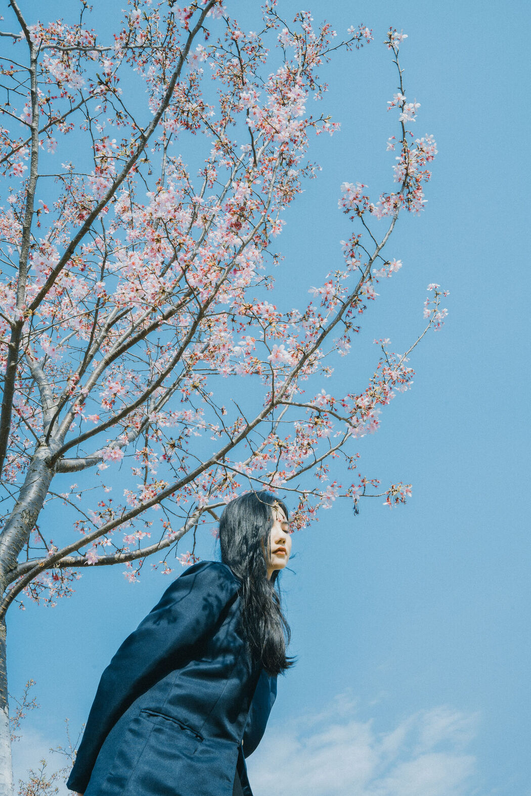 YiTuYu艺图语 Vol.6704 Yan Shi Yi
