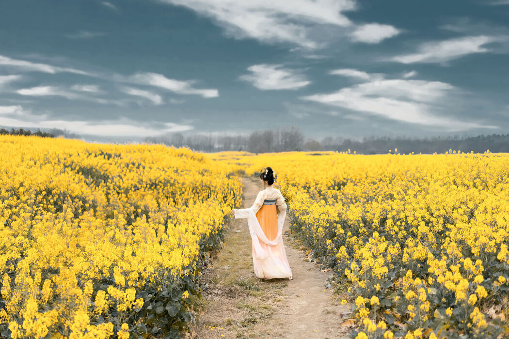 YiTuYu艺图语 Vol.6666 Miao Su Su