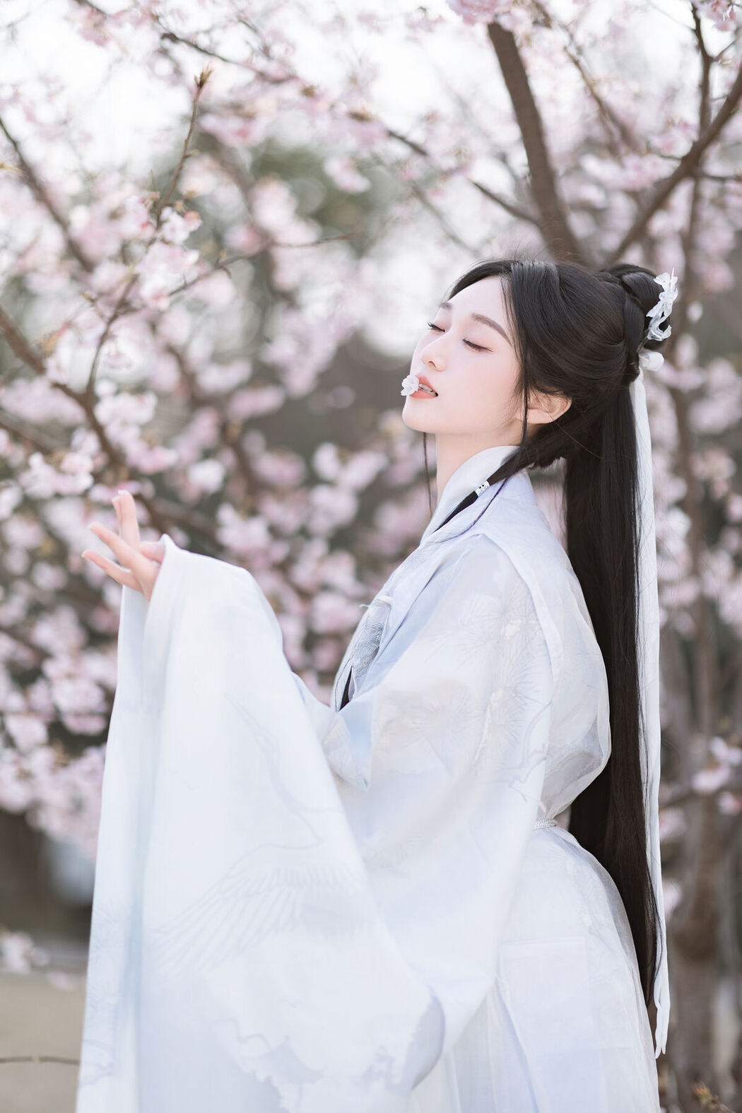 YiTuYu艺图语 Vol.6760 Zheng Yu Xi