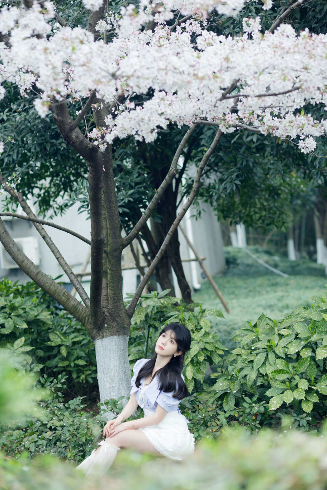 YiTuYu艺图语 Vol.6855 Cao Mei Xi Mi Lu