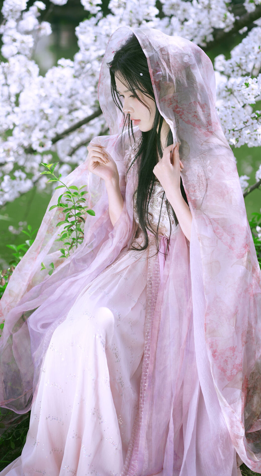YiTuYu艺图语 Vol.6877 Xi Xi