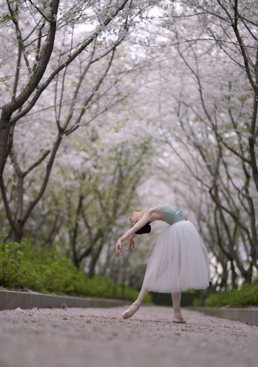 YiTuYu艺图语 Vol.6883 Xiao Xong