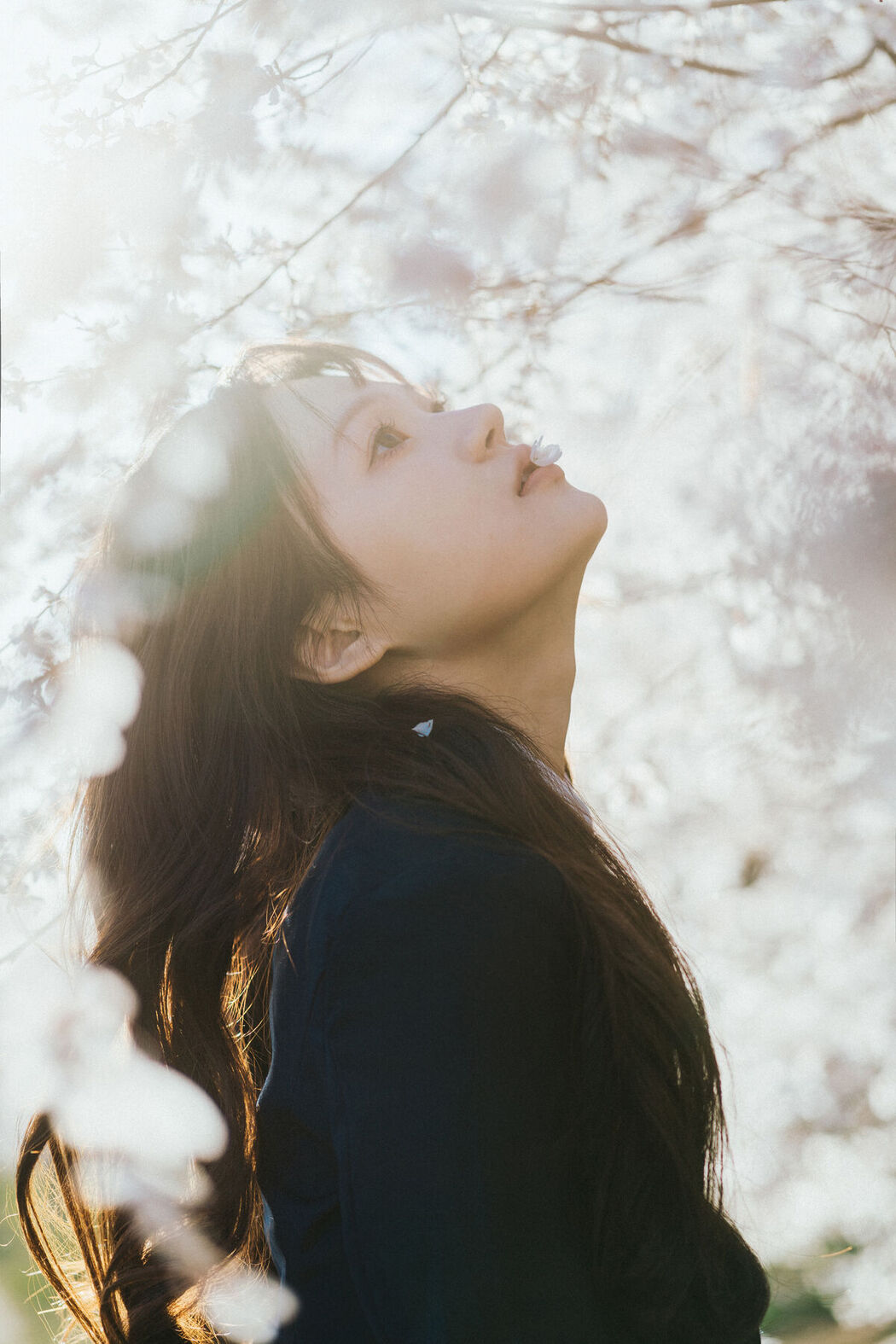 YiTuYu艺图语 Vol.6910 Su Shan Shan