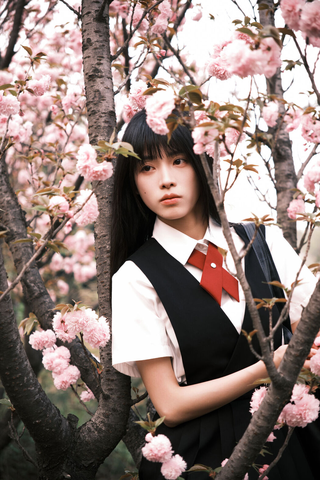 YiTuYu艺图语 Vol.6782 Xiao Song Ma Nai