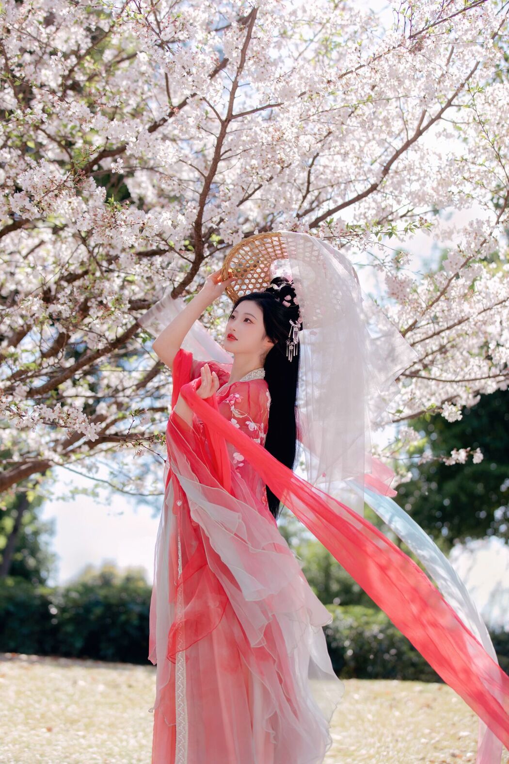 YiTuYu艺图语 Vol.7033 Yang Yang